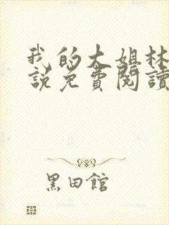 我的大姐林柔小说免费阅读封面