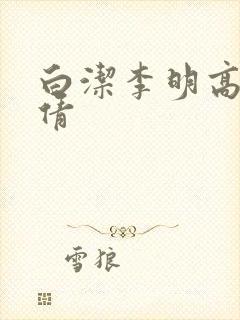 白洁李明高义孙倩封面