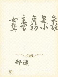 女主角是朱琳和龚雪的小说