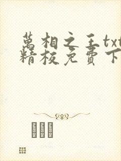 万相之王txt精校免费下载