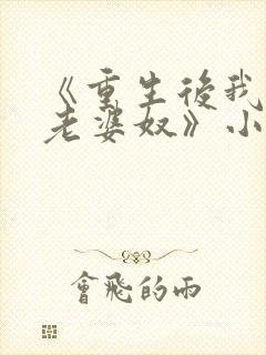 《重生后我成了老婆奴》小说