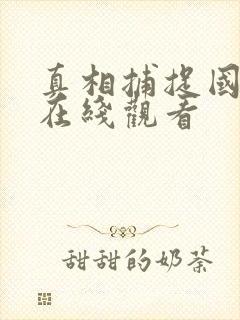 真相捕捉国语版在线观看