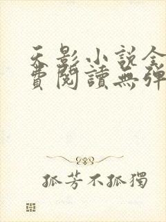 天影小说全文免费阅读无弹窗封面