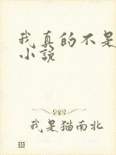 我真的不是戏神小说