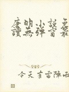 唐明小说免费阅读无弹窗最新章节下载