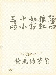 三十如狼陪读妈妈小说杜雨馨封面