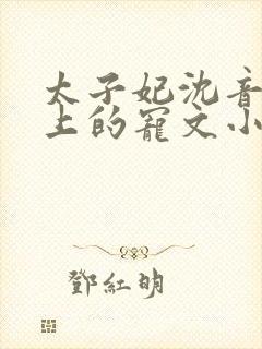 太子妃沈音和皇上的宠文小说