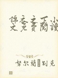 锦衣之下小说全文免费阅读无弹窗