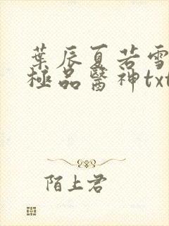 叶辰夏若雪都市极品医神txt