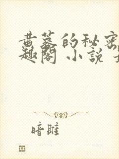 黄蓉的秘密 笔趣阁 小说 最新章节在线阅读封面