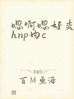 嗯啊嗯好爽啊高hnp肉c