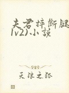 夫君摔断腿后(1v2)小说