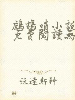 鹧鸪哨小说网站免费阅读无弹窗封面