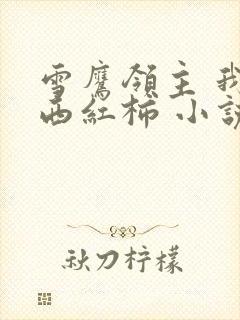 雪鹰领主 我吃西红柿 小说