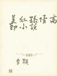 美红孙倩高义章节小说封面