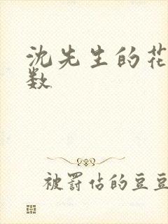 沈先生的花式调数