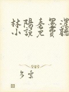 林阳秦墨浓有声小说免费听书封面