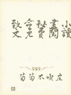 致命秘书小说全文免费阅读无弹窗