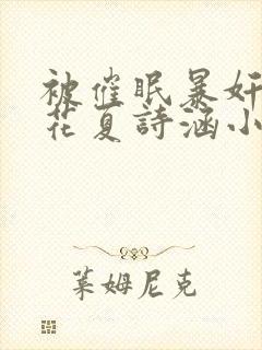 被催眠暴奸的校花夏诗涵小说