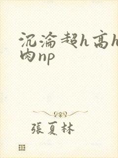 沉沦超h高h污肉np