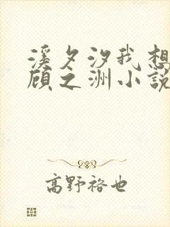 溪夕汐我想陶软顾之洲小说