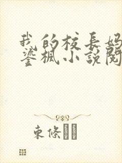 我的校长妈妈夏鎏枫小说阅读