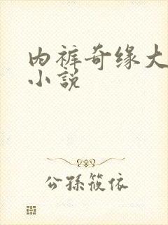 内裤奇缘大团结小说封面