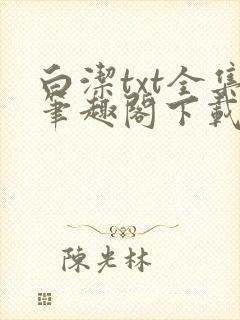 白洁txt全集笔趣阁下载封面