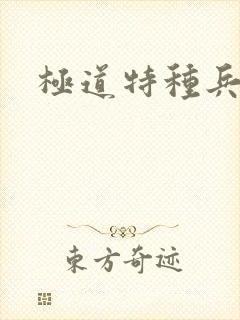 极道特种兵封面