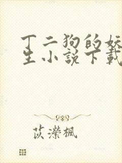 丁二狗的妖孽人生小说下载