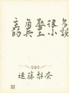 主角娶很多老婆的兵王小说封面