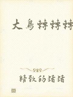 大鸟转转转酒吧封面