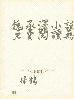 魏承泽小说全文免费阅读无弹窗笔趣封面