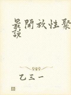 最开放性聚会小说