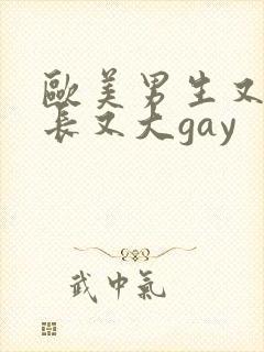 欧美男生又粗又长又大gay