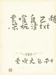 掌嘴自己赵振国,宋婉清txt封面