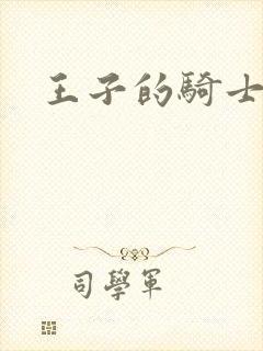 王子的骑士小说