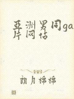 亚洲男同gay片网站封面