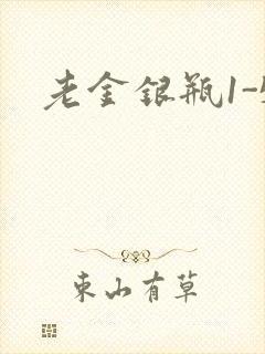 老金银瓶1-5