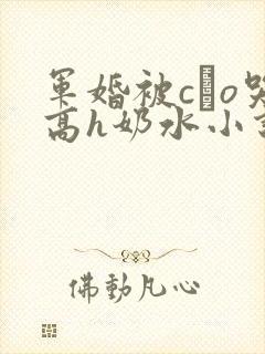 军婚被cαo哭高h奶水小说封面