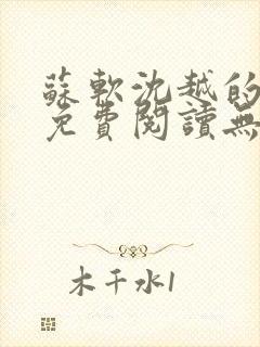 苏软沈越的小说免费阅读无弹窗