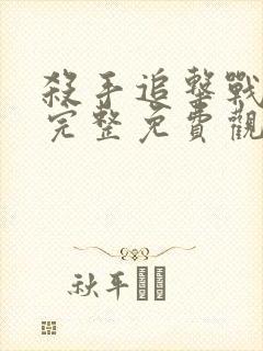 杀手追击战电影完整免费观看中文