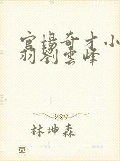 官场奇才小说陆羽刘云峰