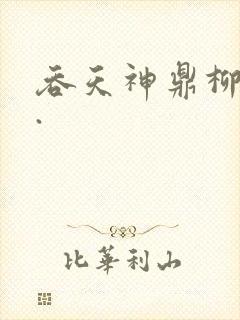 吞天神鼎柳无邪.