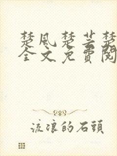 楚风楚芸楚鸿飞全文免费阅读笔趣阁封面