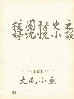 校园秘史之陆婷婷沈悦小说封面