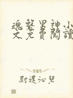 魂系男神小说全文免费阅读无弹窗