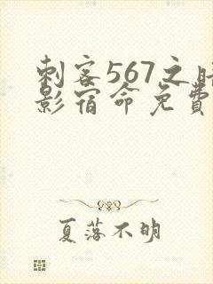 刺客567之暗影宿命免费观看封面