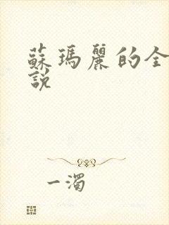 苏玛丽的全部小说