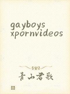 gayboysxpornvideos